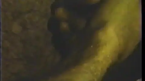 ⭐️ DIE GEHEIMEN TAFELN VON RAMA ⭐️ (Vintage)