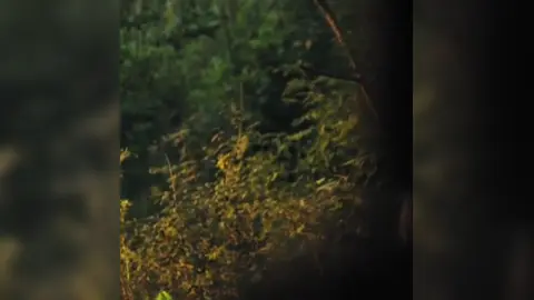 Companheiros de Viagem (doublé) – Parties 5, 6, 7 & 8