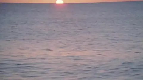 Dante's Cove – Teile 1–6