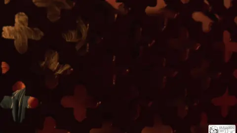 Kayden Gray y Alex Silvers