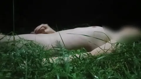 Paja en el bosque de noche (septiembre)