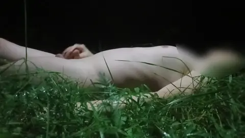 Seghe nel bosco di notte (settembre)