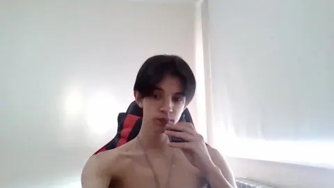 Homemade-Cam: heiße Twinks beim Ficken