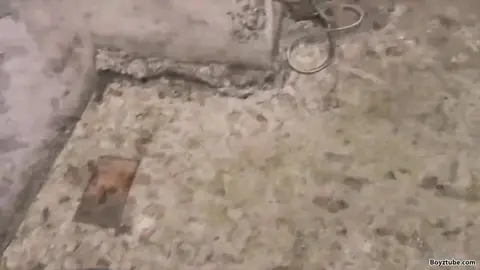 Latin Leche | Número 23