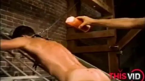 Prima volta, ben addestrato