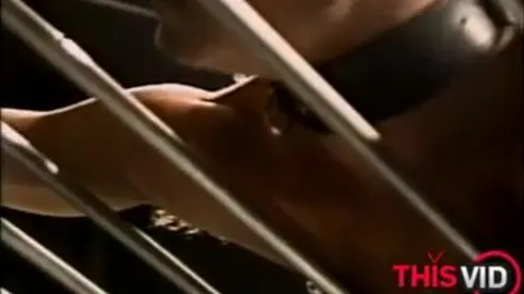 Primeira vez, bem domado