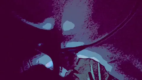 Davenlatte’$ Suck Fest