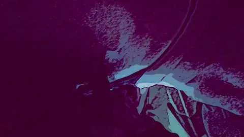 Davenlatte’$ Suck Fest