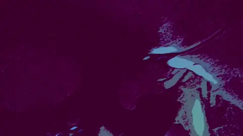 Davenlatte’$ Suck Fest