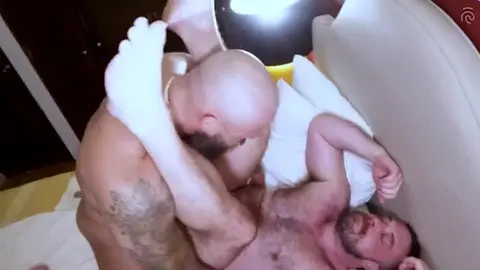 Touro musculoso te arrebenta