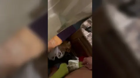 #Show #Me The #GREEN