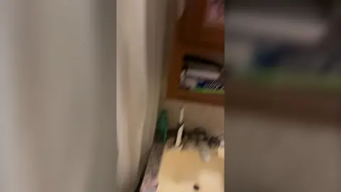 #Show #Me The #GREEN