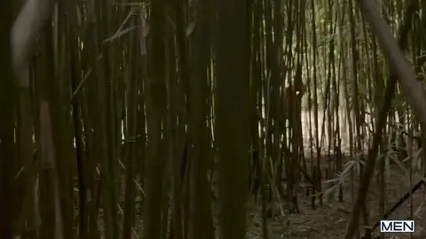 Collin Simpson e JJ Knight