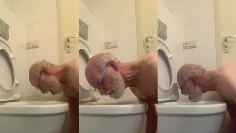 Lick toilet stupid slave