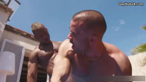 Grande pinto preto faz bareback em buraco guloso