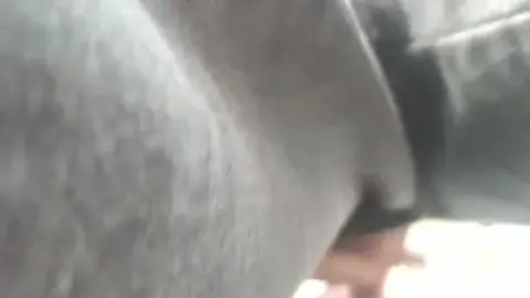 Casado suce la queue d'un autre casado