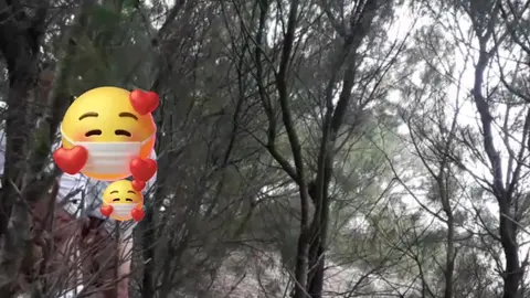 Casado s'exhibe à la plage voyeur