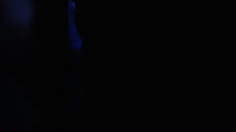 Funhouse Regisseur Schnitt - Rohe Fick-Szenen