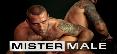 Chaine Mistermale - Virils & Machos